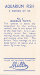 Barbus Ticto.