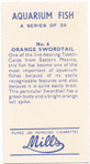 Orange Swordtail.