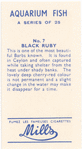 Black Ruby.