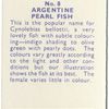 Argentine Pearl Fish.