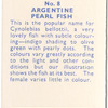 Argentine Pearl Fish.
