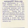 Midnight Mollies.