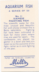 Siamese Fighting Fish.