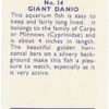 Giant Danio.