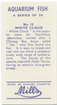 White Cloud.