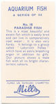 Paradise Fish.