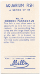 Exodon Paradoxus.