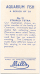 Striped Tetra.