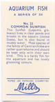 Common Sunfish.