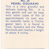 Pearl Gourami.