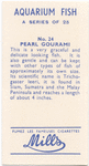 Pearl Gourami.