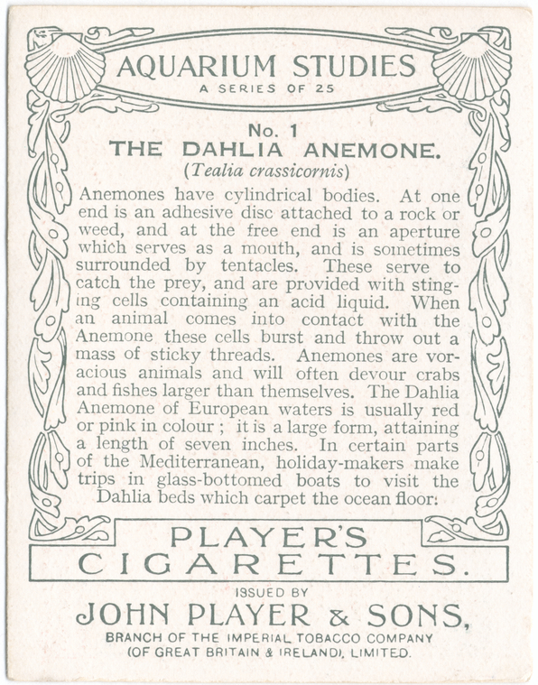Index