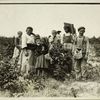 Mrs. Lissie and family (Polish). They all work in fields near Baltimore in the summer and have worked at Biloxi, Miss. for two years, July 7, 1909