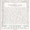 The Edible Crab.