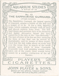 The Sapphirine Gurnard.