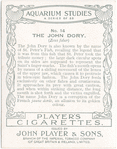 The John Dory.