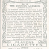 The Common Lobster.