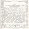 The African Lung Fish.