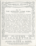 The African Lung Fish.