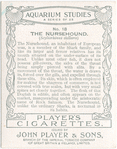 The Nursehound.