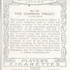 The Common Trout.