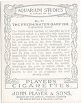 The Fresh-water Garfish.