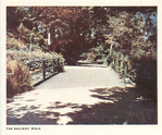 The Railway Walk.