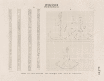 Ptolemaeer. Ptol. XIII. Neos Dionysos. Ombos: a.b. Inschriften und  c. Darschtellungen an der Decke der Säulenhalle.