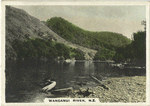 Wanganui River, N.Z..