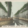 Avenida do Mangue, Rio de Janeiro.