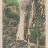 Waterfall, Madeira Isles.