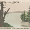 Raglan Harbour, S. Auckland, New Zealand.