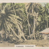 Tobago, Trinidad.