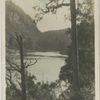 Wanganui River Near Taumarunui, N.Z..