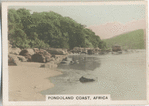 Pondoland Coast, Africa.