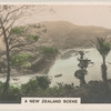 A New Zealand Scene.