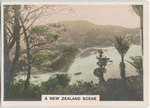 A New Zealand Scene.