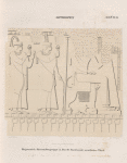 Aethiopen. Begerauîeh [Begrawiya]. Pyramidengruppe A. Pyr. 14. Norwand, westlicher Theil.