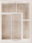 Meroitisch-Aethiopische Inschriften No. 10-14.  Philae. Grosser Tempel, Kammer L, 68. Blatt C.