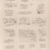 Sinaitische Inschriften No. 93-116.  Wadi Mokatteb, Gruppe A.