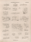 Sinaitische Inschriften No. 93-116.  Wadi Mokatteb, Gruppe A.