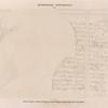 Demotische Inschriften No. 6.  Philae. Tempel J. Aeussere Ostwand. Erstes bilingues Decret, demotischer Text. Blatt 1.