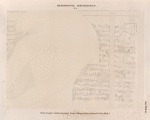 Demotische Inschriften No. 6.  Philae. Tempel J. Aeussere Ostwand. Erstes bilingues Decret, demotischer Text. Blatt 1.