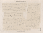 Demotische Inschriften No. 74-82.   Philae. Tempel J. Vordere Kammer.