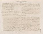 Demotische Inschriften No. 83-91.  Philae. Tempel J. Vordere Kammer.