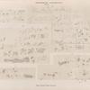 Demotische Inschriften No. 92-95.  Philae. Tempel J. Vordere Kammer.
