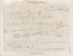 Demotische Inschriften No. 104-111.  Philae. Tempel J. Vordere Kammer.