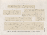 Demotische Inschriften No. 131-136. Philae: 131, 132. Grosser Tempel. Im Innern des Pylons K; 133. Südl. Ufermauer; 134-136. Nordseite des Obelisken.