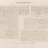 Demotische Inschriften No. 137-140.  137. Tempel von Qertassi; 138. T[empel] von Dendûr; 139, 140. T[empel] von Dakkeh [el-Dakka].