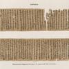 Papyrus. Hieratischer Papyrus. No. I, Lin. 1-77.